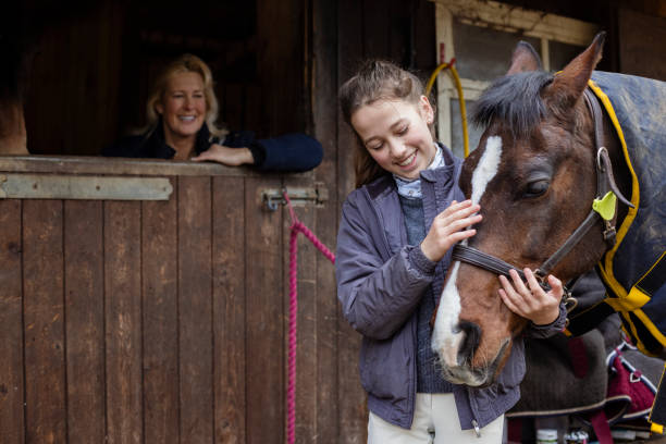 how much should senior horses eat